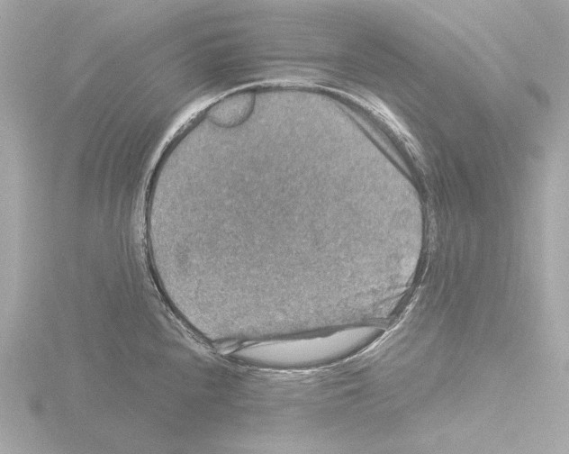 X0000115511240200912181438