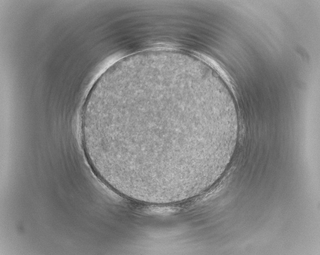 X0000115511243200912181438