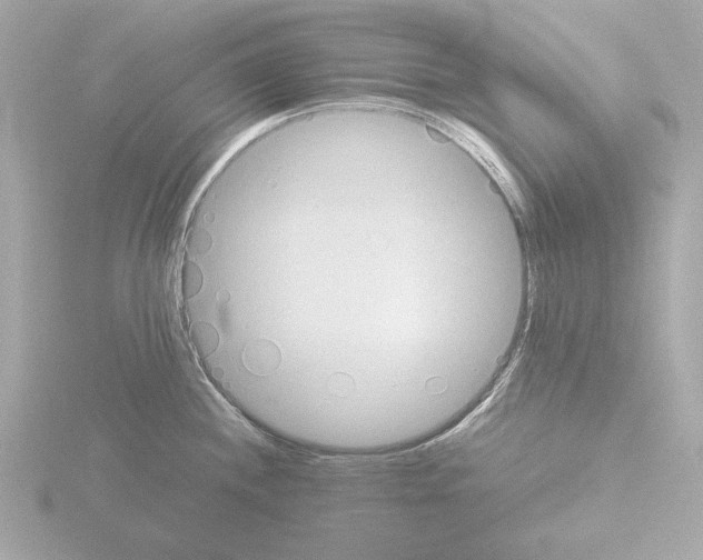 X0000115511244200912181439