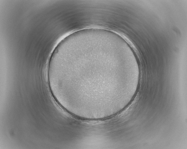 X0000115511246200912181439