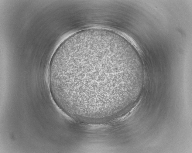 X0000115511247200912181439