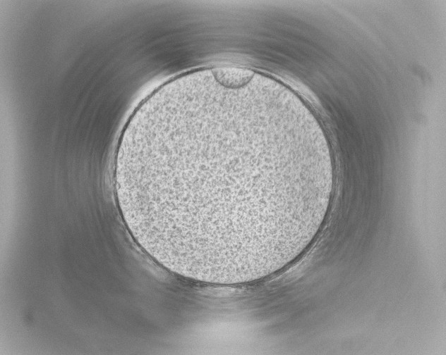 X0000115511248200912181439