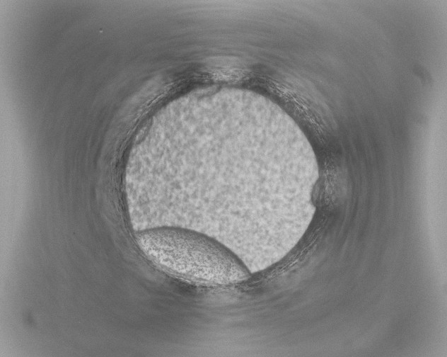 X0000115511249200912181438