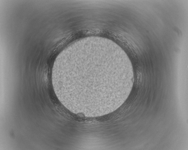 X0000115511250200912181438