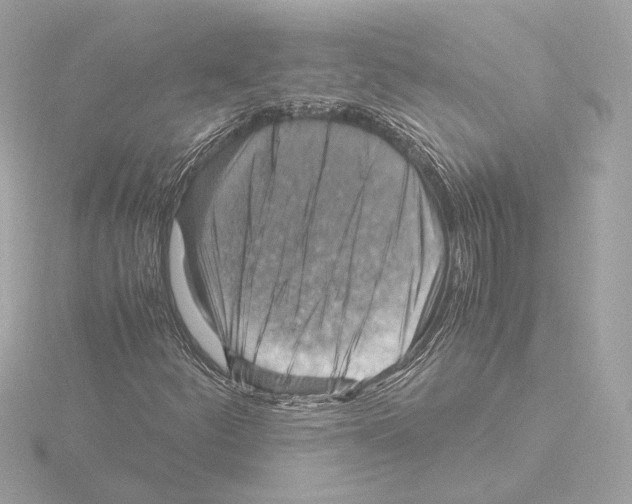 X0000115511252200912181438