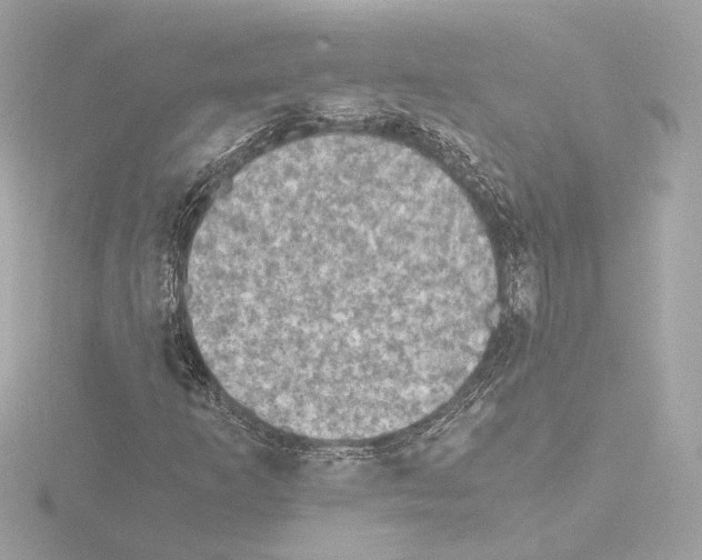 X0000115511253200912181438