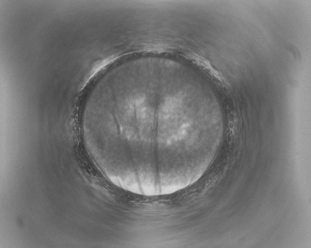 X0000115511256200912181438