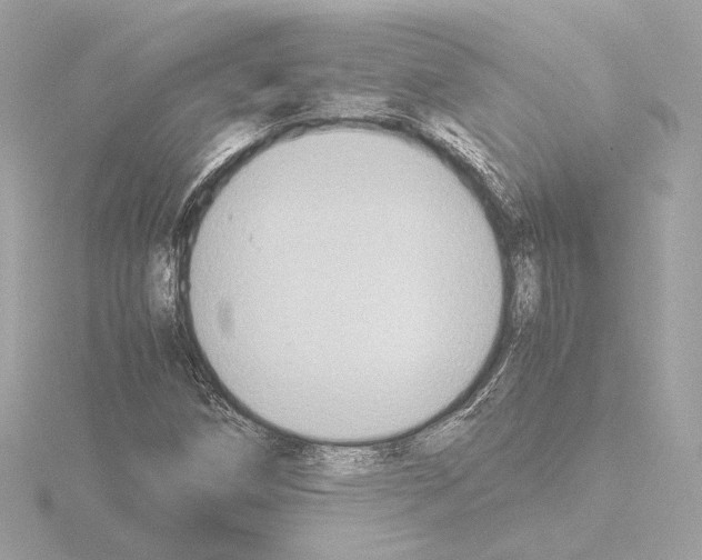 X0000115511258200912181438