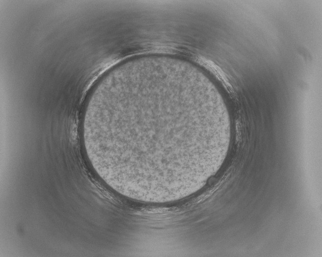 X0000115511260200912181438