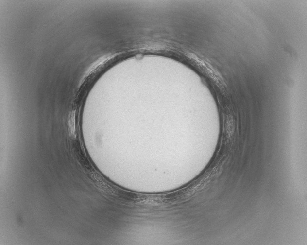 X0000115511262200912181438