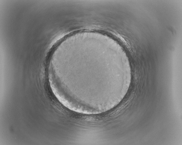 X0000115511263200912181438