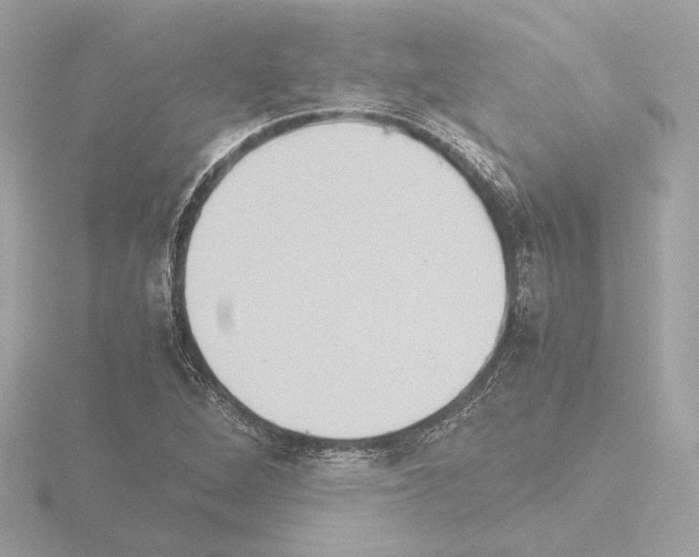 X0000115511264200912181438