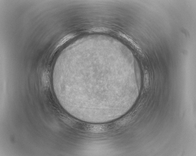 X0000115511266200912181438