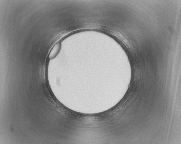 X0000115511268200912181438