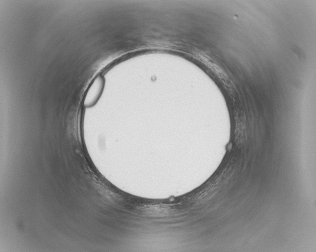 X0000115511272200912181438