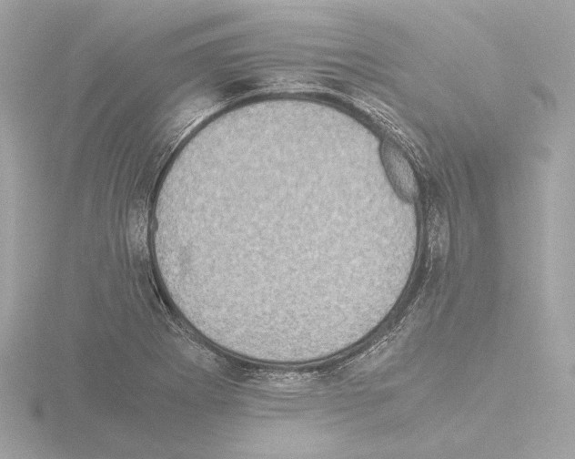 X0000115511273200912181438