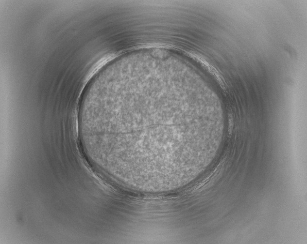 X0000115511274200912181438