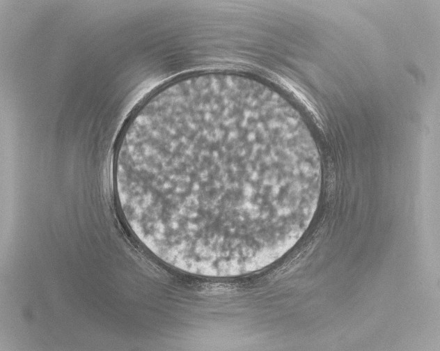 X0000115511275200912181438