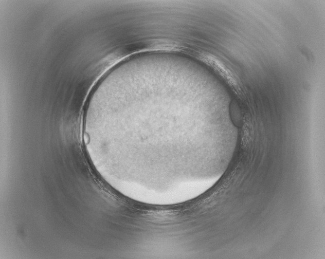 X0000115511276200912181438