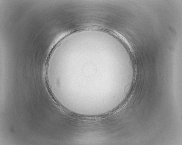 X0000115511277200912181438