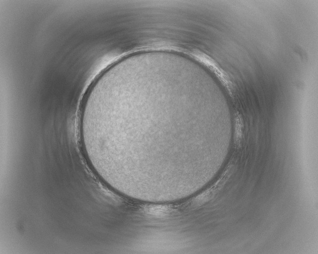 X0000115511278200912181438