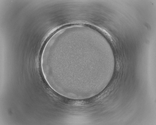 X0000115511279200912181438