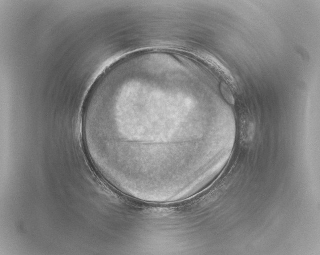 X0000115511280200912181438