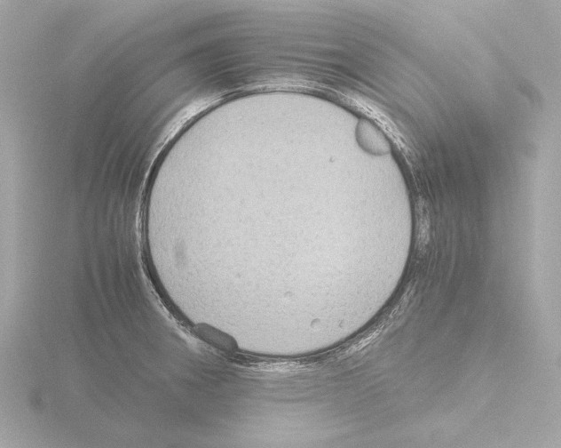 X0000115511282200912181438