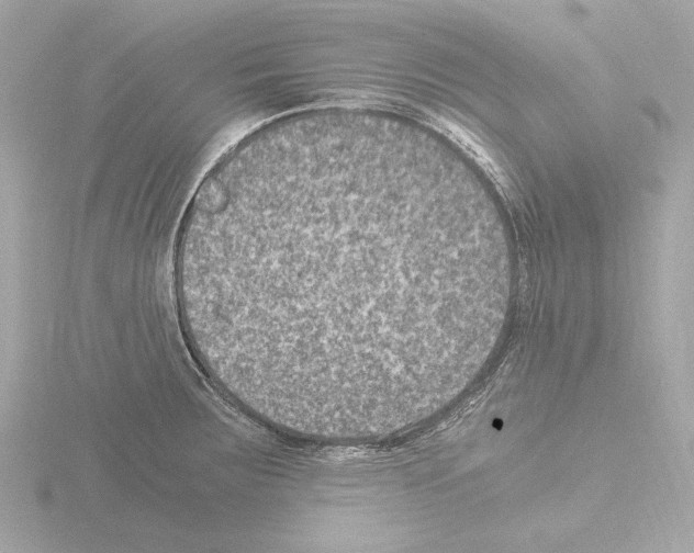 X0000115511283200912181438