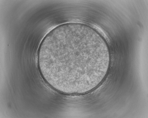 X0000115511284200912181437