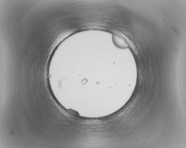 X0000115511285200912181437