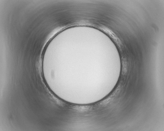 X0000115511286200912181437