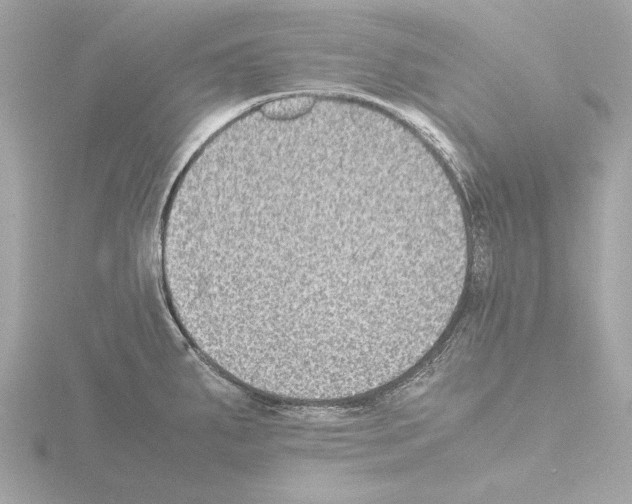 X0000115511287200912181437