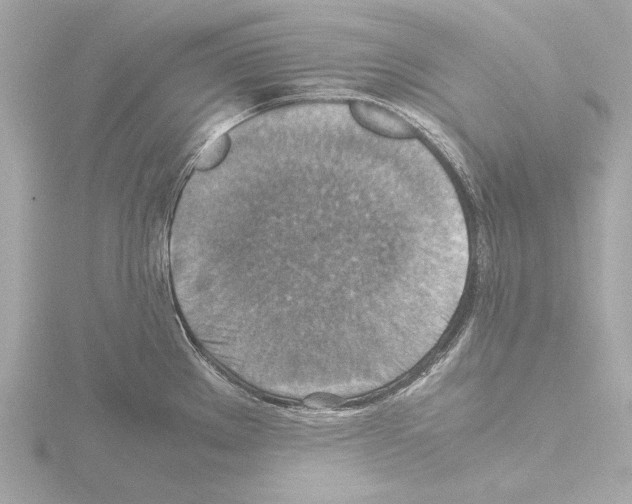 X0000115511289200912181437