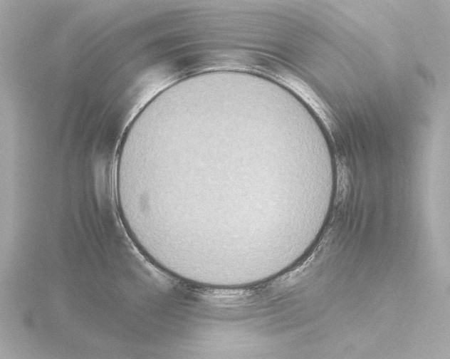 X0000115511290200912181437