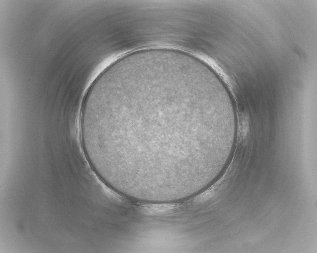 X0000115511294200912181437