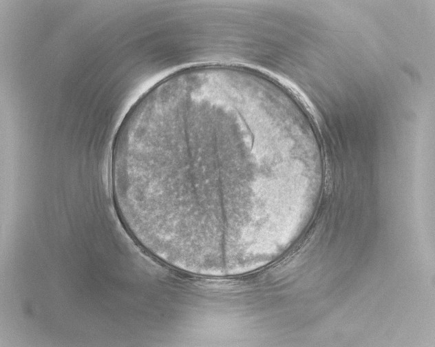 X0000115511295200912181437