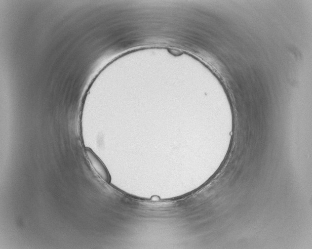 X0000115511296200912181437