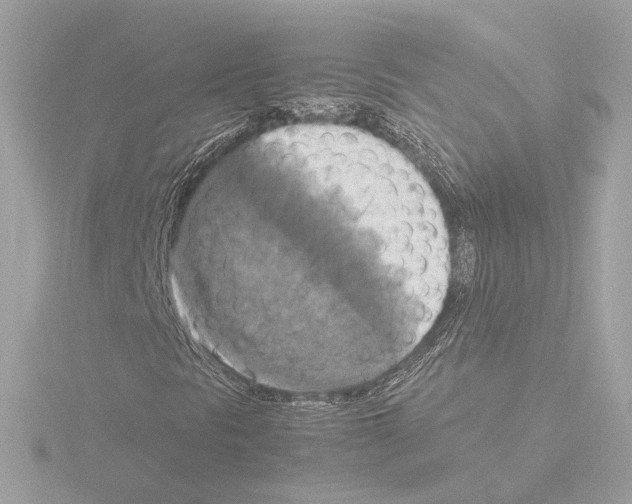 X0000115511297200912181437