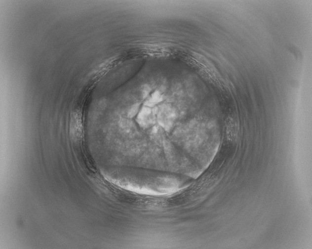 X0000115511298200912181437