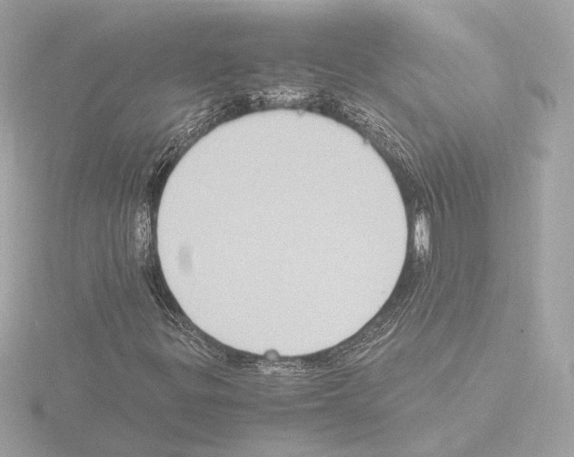 X0000115511299200912181437