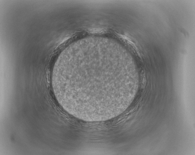 X0000115511301200912181437