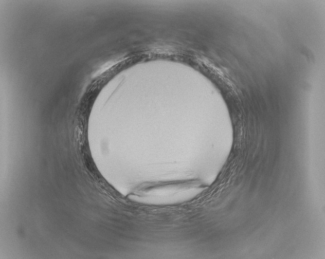 X0000115511303200912181437