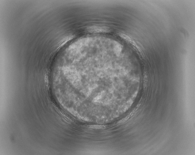 X0000115511305200912181437