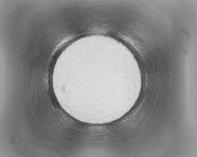 X0000115511307200912181437