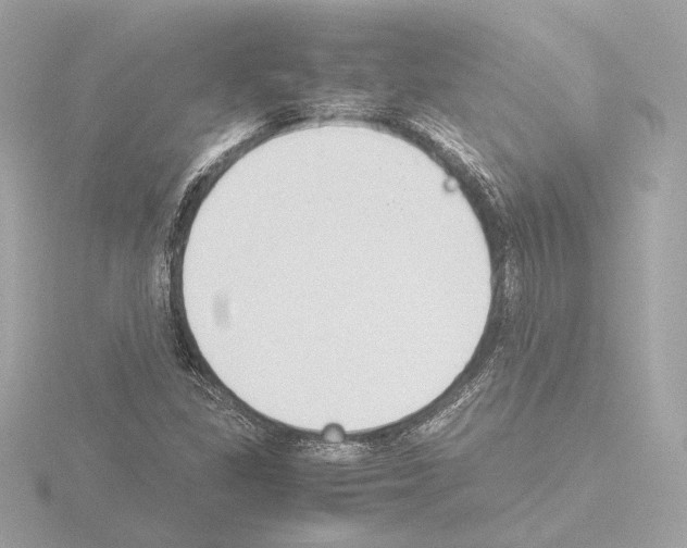 X0000115511309200912181437