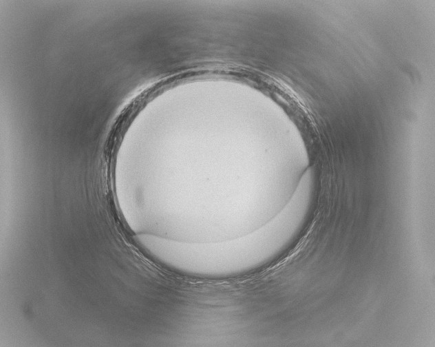 X0000115511310200912181437