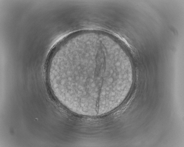 X0000115511311200912181437