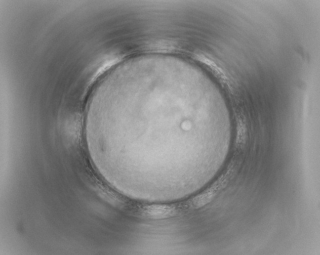 X0000115511314200912181437