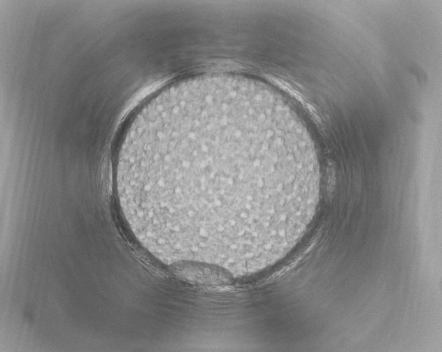 X0000115511317200912181437